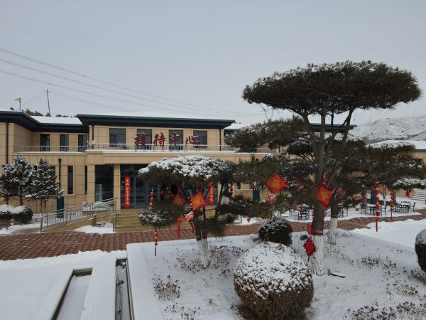 園區(qū)雪景 園區(qū)雪景